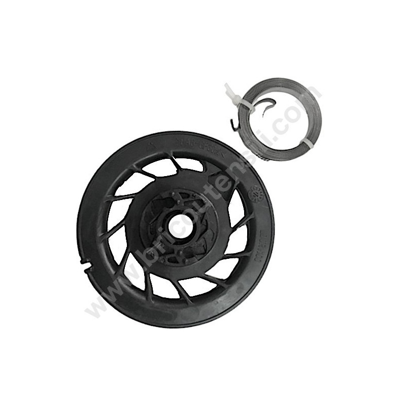 Kit Puleggia Avviamento e Molla per Motore Alpina RSC 100 OHV