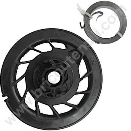 Kit Puleggia Avviamento e Molla per Motore Alpina RSC 100 OHV
