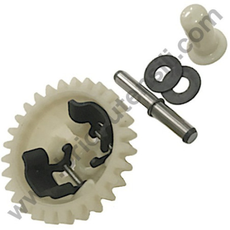 Assieme Governor per Spazzaneve a Motore Alpina AS 56 A