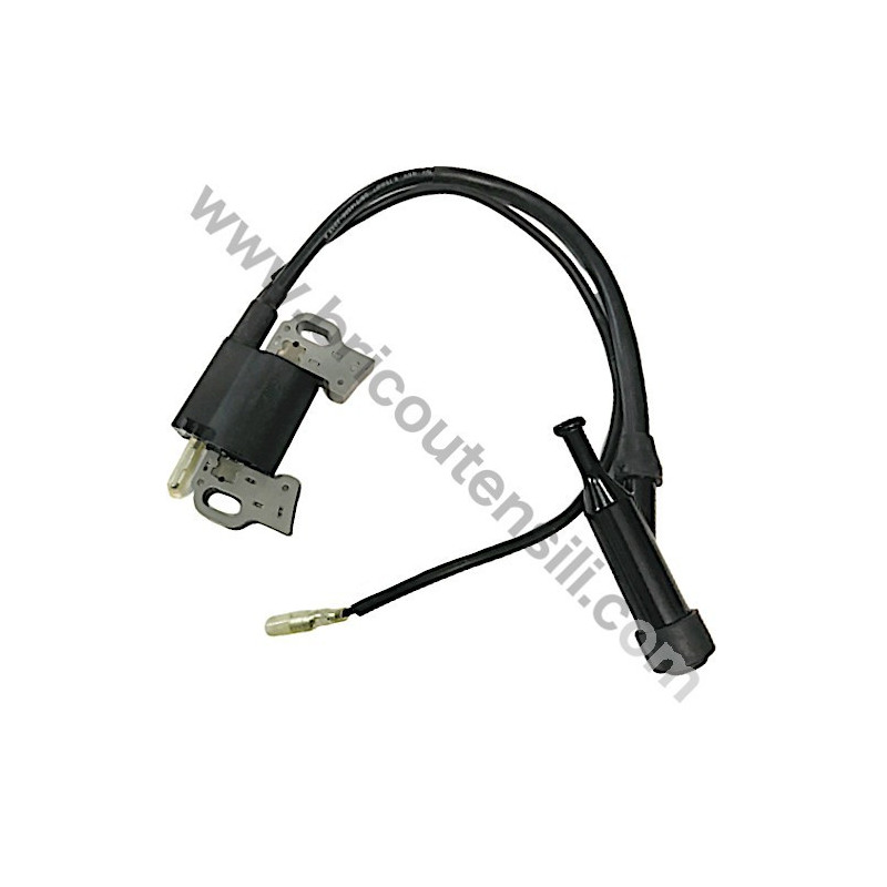 Bobina Elettronica per Motogeneratore Yamato G 3300