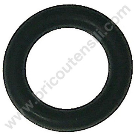 O-Ring for Pumping Unit Fiac AB 335-410-858-998