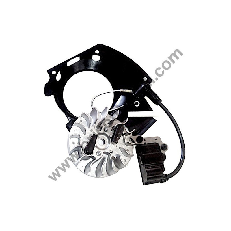 Ricambi Hitachi per Motosega da Potatura Hitachi CS25EC-SC