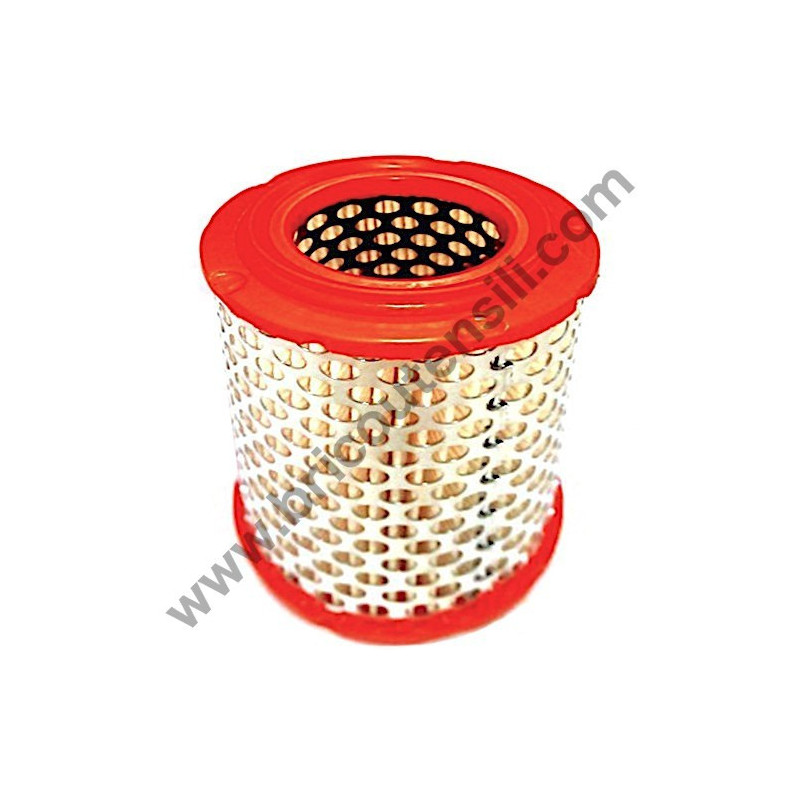 Pistone per Gruppo Pompante Fiac AB 248-338-360