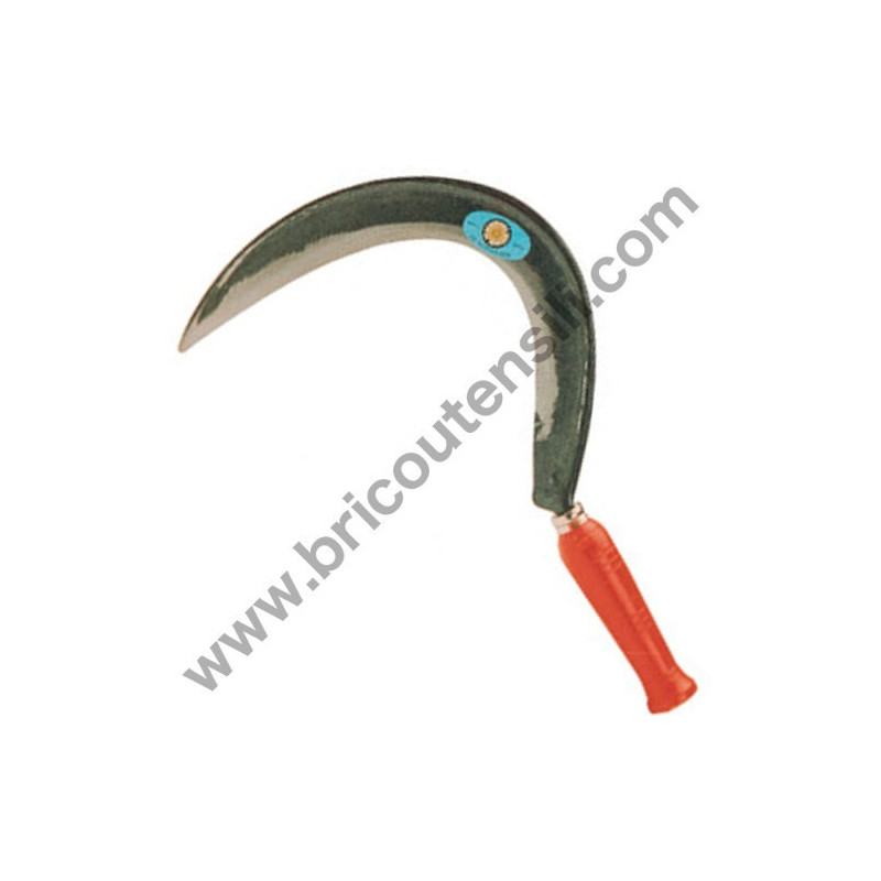 Little Hawk Toothed Grass 0