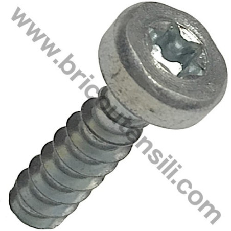 Screw 5,5X20 (TORX) for Chainsaw Dolmar PS4600S