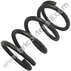 Piston Spring for Pressure Washer Lavor EAGLE 24