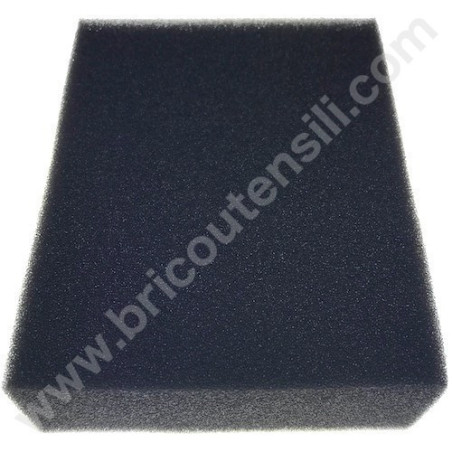 Filtro Aria (Spugna) per Motore AMA MVG - T375