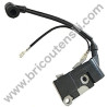 Electronic Coil for Chainsaws Alpina C 46 - C 50
