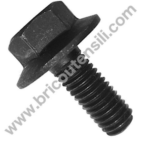 Vite M8 Sx Bloccaggio Disco per Troncatrice FEMI 732-TR 240-245