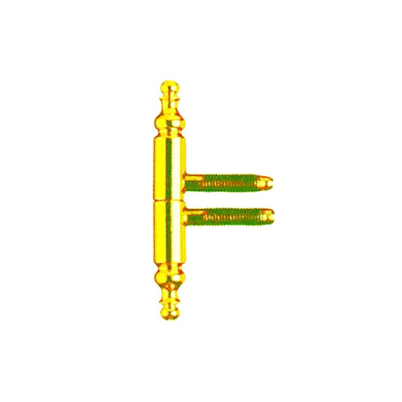Hinge Anuba Brass type Barocco
