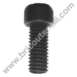 Disk Locking Left Thread Screw for Wood Mitre Saw Stayer SC300W
