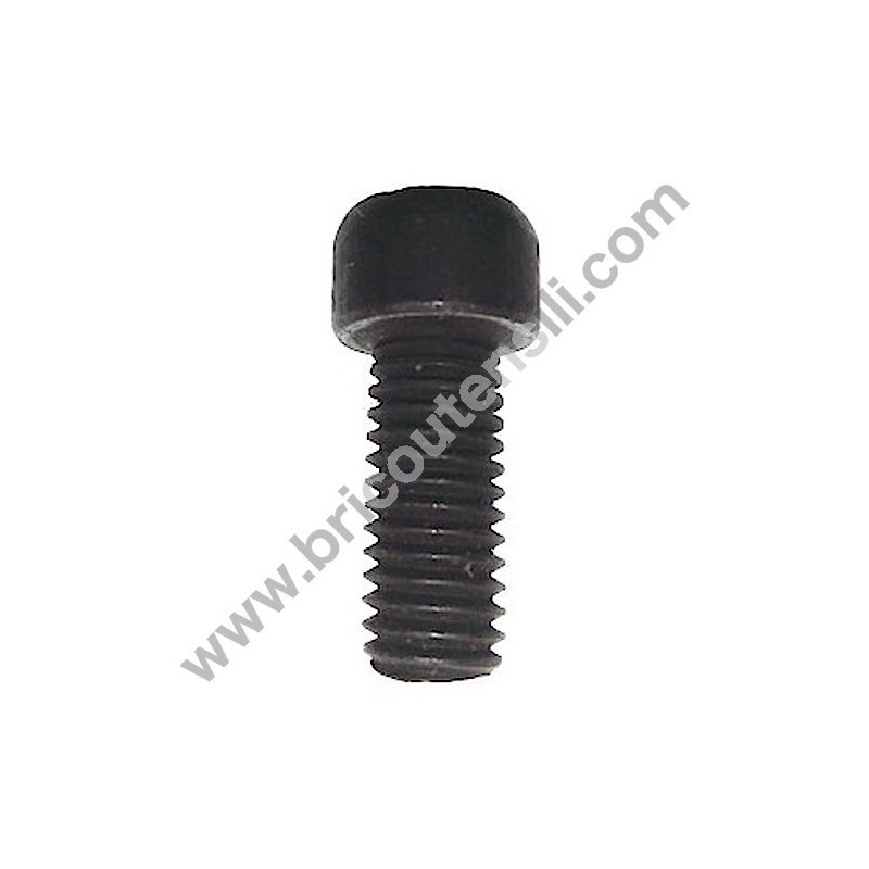 Vite SX Ferma Disco per Troncatrice Stayer SC300W