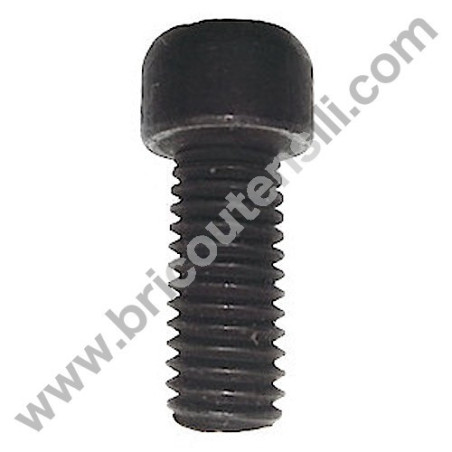 Disk Locking Left Thread Screw for Wood Mitre Saw Stayer SC300W