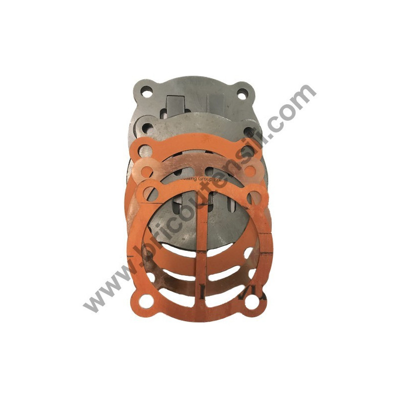 Valve Plate Set for Pump Unit Fiac AB17