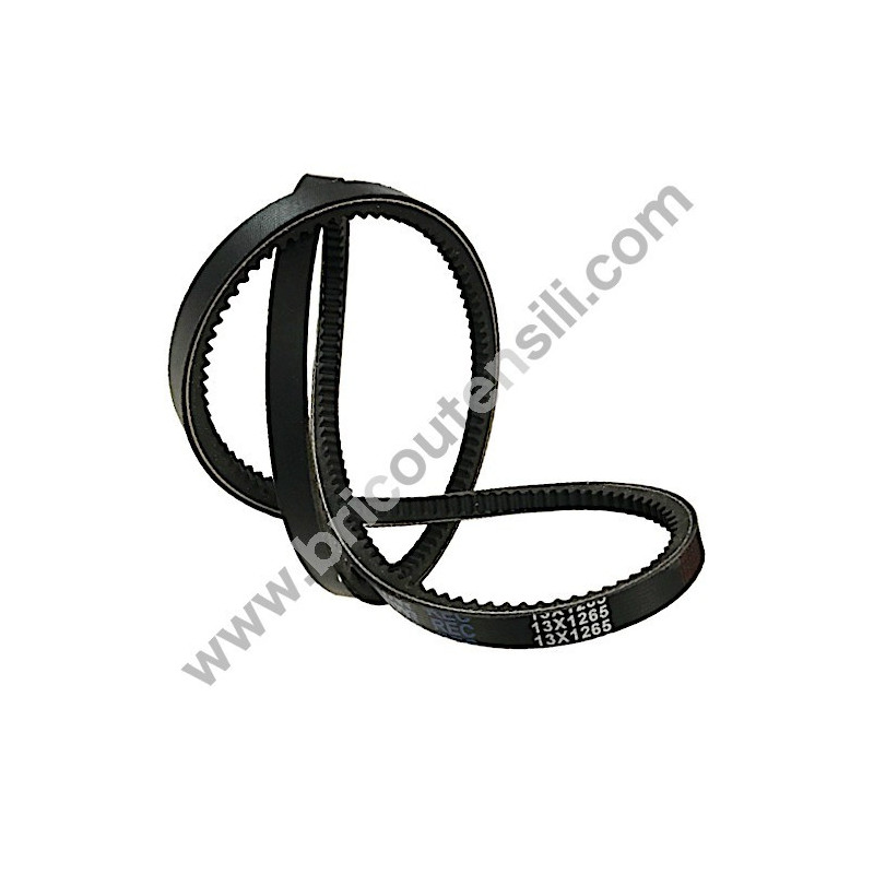 Cinghia per Motozappa Meccanica Benassi RL 40-50