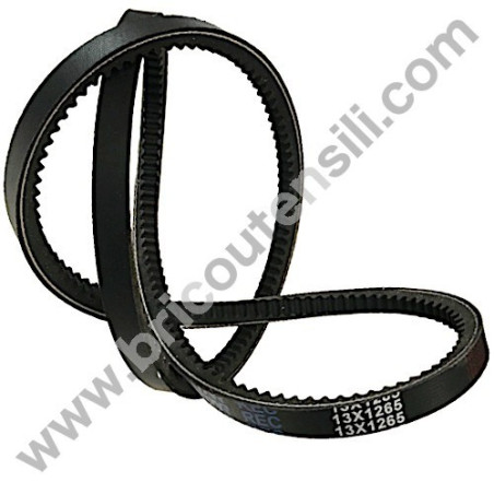 Belt for Tiller Meccanica Benassi RL 40-50
