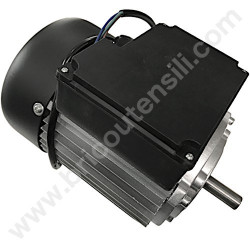 Pistone Ricambio per Decespugliatore Axel BT520