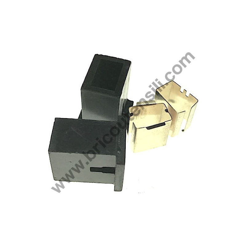 Supporti Spazzole per Troncatrice per Legno FEMI TR076