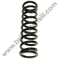 Troncatrice Compa Silver 250