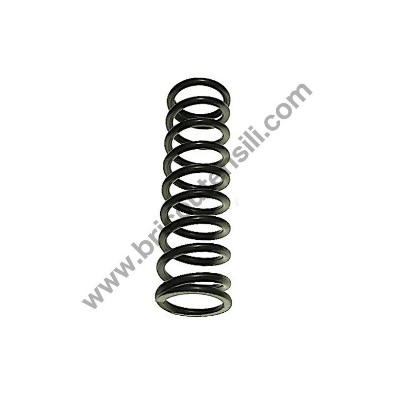 Troncatrice Compa Silver 250