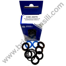 Tubo per Idropulitrice Annovi & Reverberi Blu Clean 142