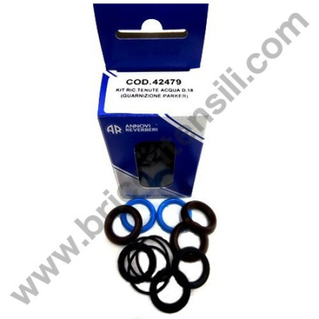 Tubo per Idropulitrice Annovi & Reverberi Blu Clean 142