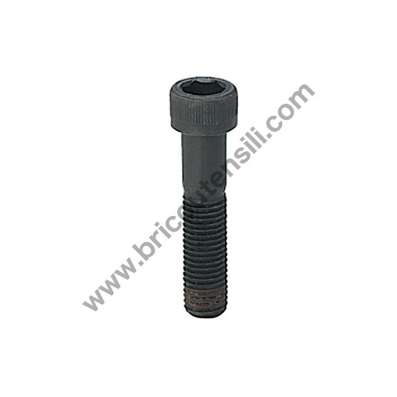 Hex Hole Bolt M5x18PS for Hedge Trimmer Tanaka THT 210