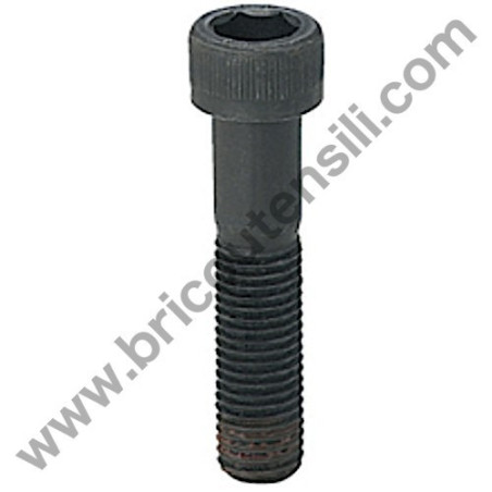 Hex Hole Bolt M5x18PS for Hedge Trimmer Tanaka THT 210