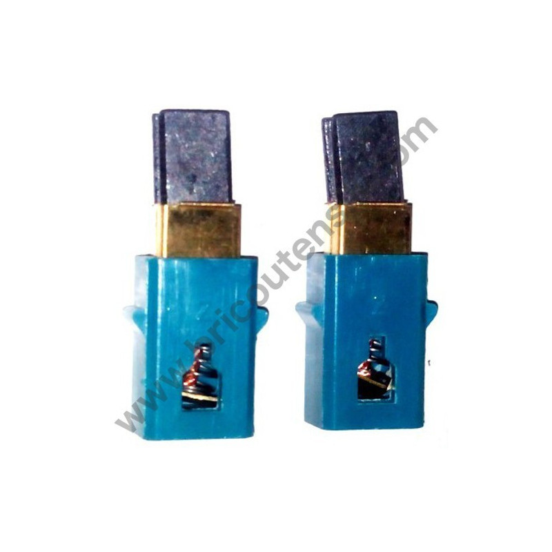 Carbon Brushes for Telescopic Chainsaw Valex ET300