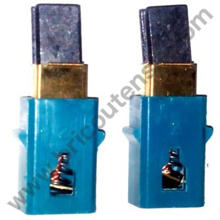 Spazzole per Elettrosega Telescopica Valex ET300