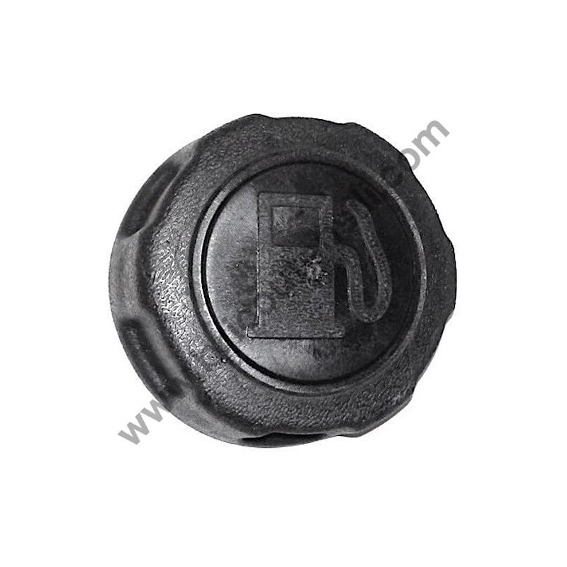 Pistone Ricambio per Decespugliatore Axel BT520