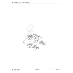 Ricambi Alpina per Motosega A 305