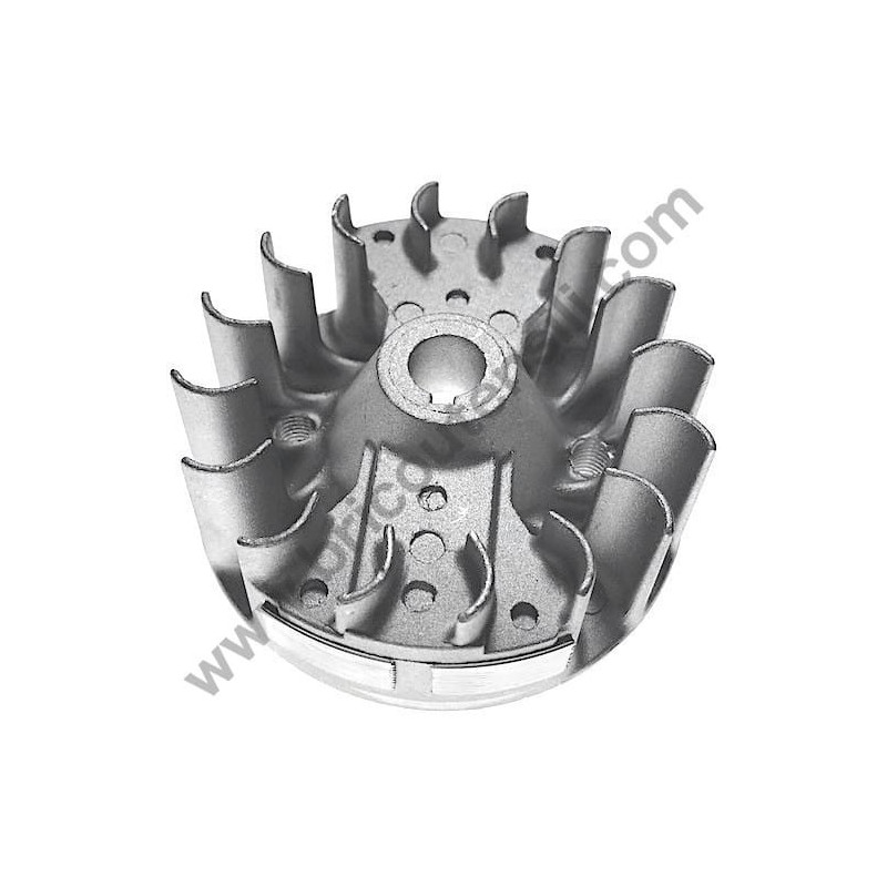 Volano per Decespugliatore AMA AG2 360