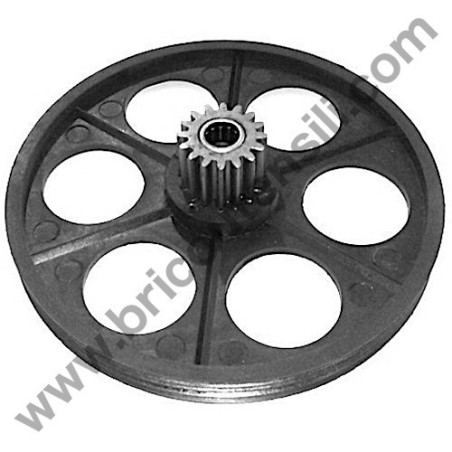 Cinghia di Trasmissione Rullo Coltelli Femi 630