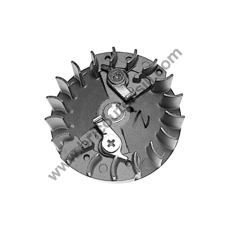 Flywheel for Chainsaw Papillon Ranger 25