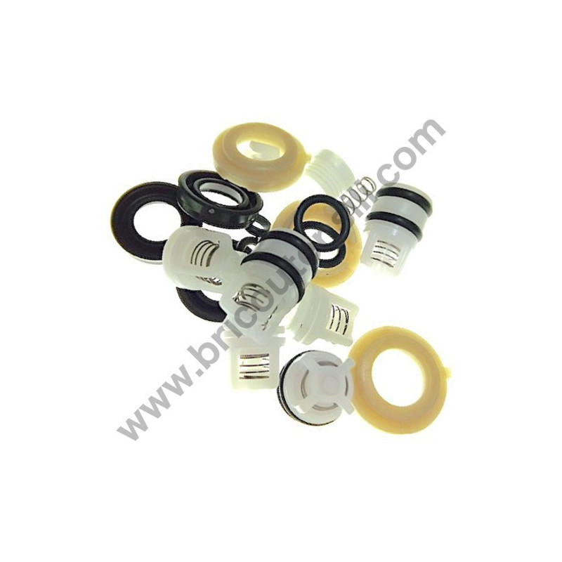 Valves + Oil Seal Kit for Pressure Washers B&D BXPW 1300 E-1400 E