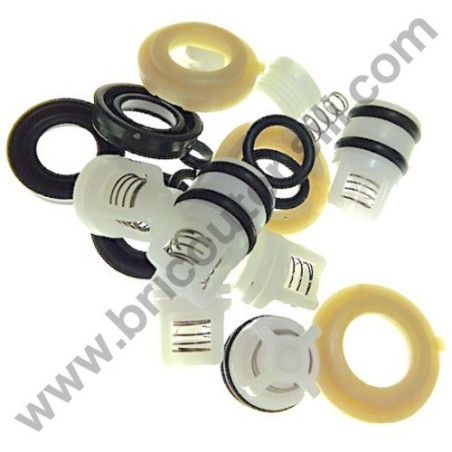 Valves + Oil Seal Kit for Pressure Washers B&D BXPW 1300 E-1400 E