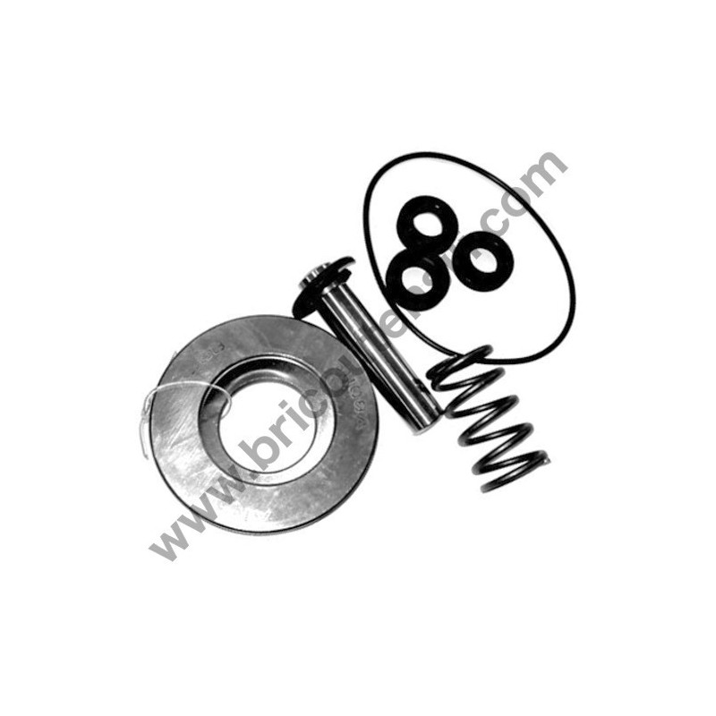 Kit Pistoni per Idropulitrici Annovi & Reverberi AR395-AR490