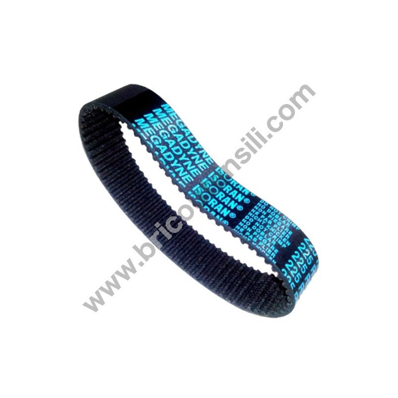 Cinghia per Levigatrice a Nastro Stayer LEN751E