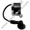 Bobina Accensione per Decespugliatori AMA AG2 450-450U