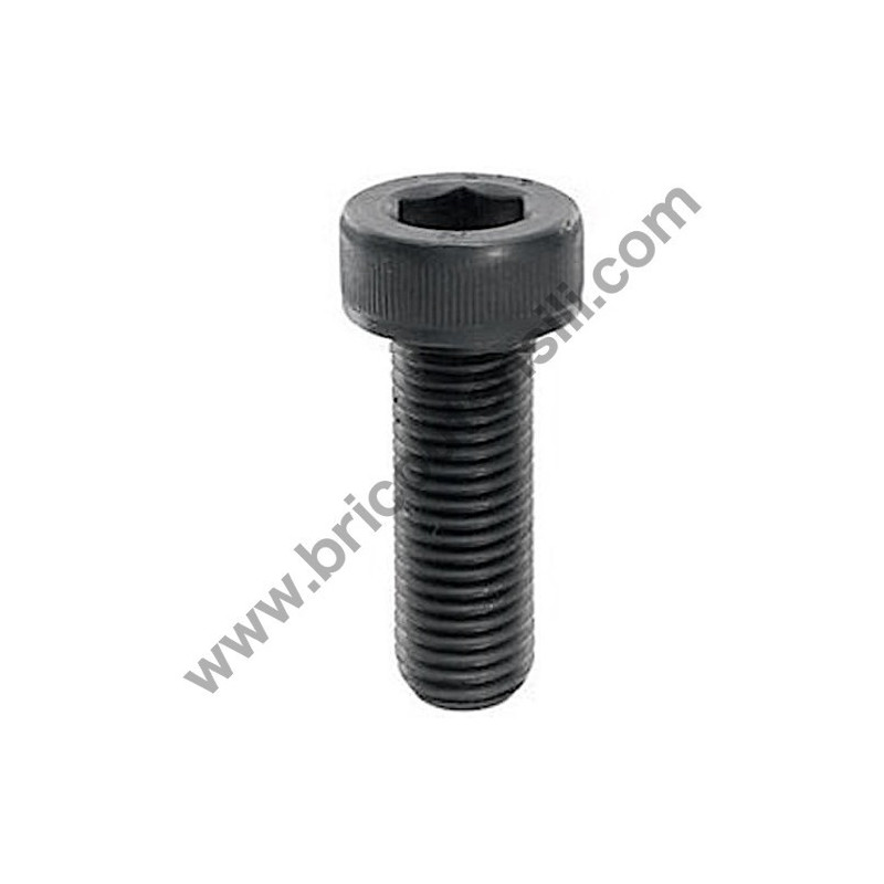 Hex Socket Head Screw for Random Orbital BOSCH GEX 150 AC