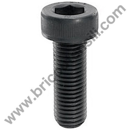 Hex Socket Head Screw for Random Orbital BOSCH GEX 150 AC