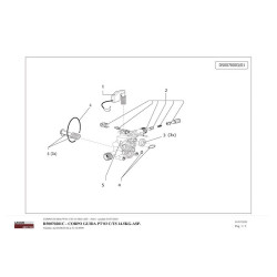 Lavor Original Parts for Pressure Cleaner PLANET 160 - 81100015C