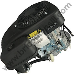 Engine Assembly with Electric Starter ST. S.P.A. TRE224 - 1