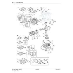 Ricambi Castelgarden per Decespugliatore XB 26