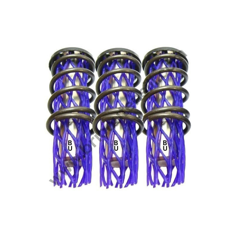 Kit 167 LW 3 Pistoni + Molle per Idropulitrice Lavor BEST 24