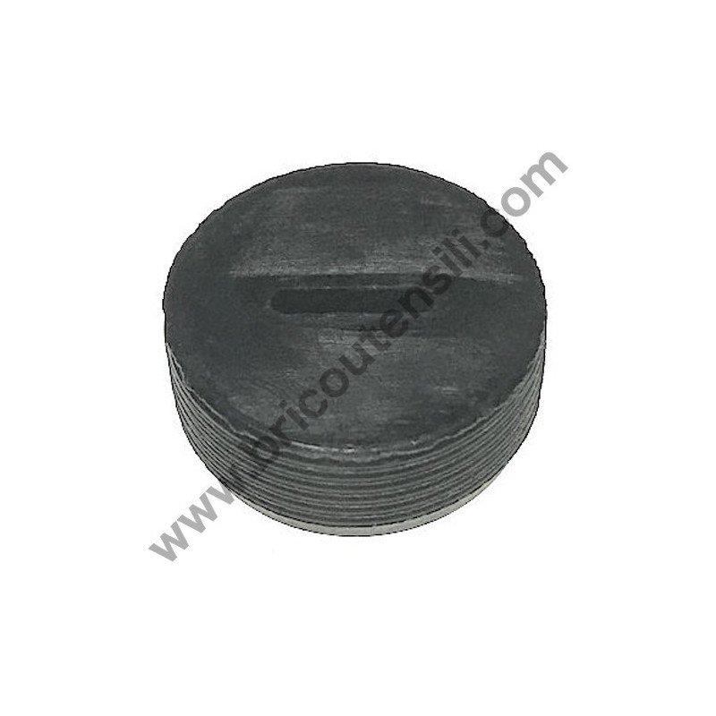 Tappo Supporto Carboncini per Troncatrice per Metalli Compa TRMA355