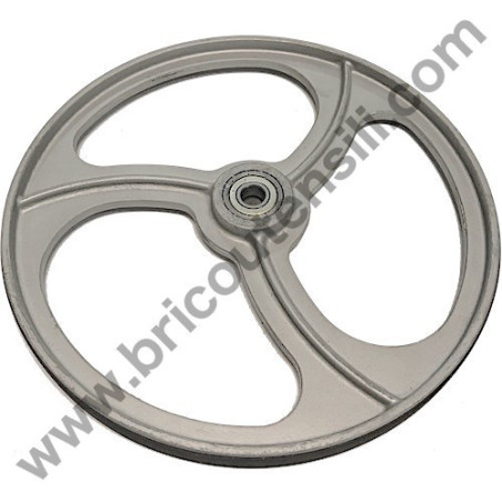 Pistone Ricambio per Decespugliatore Axel BT520