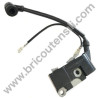 Electronic Coil for Chainsaw Valex ECS45