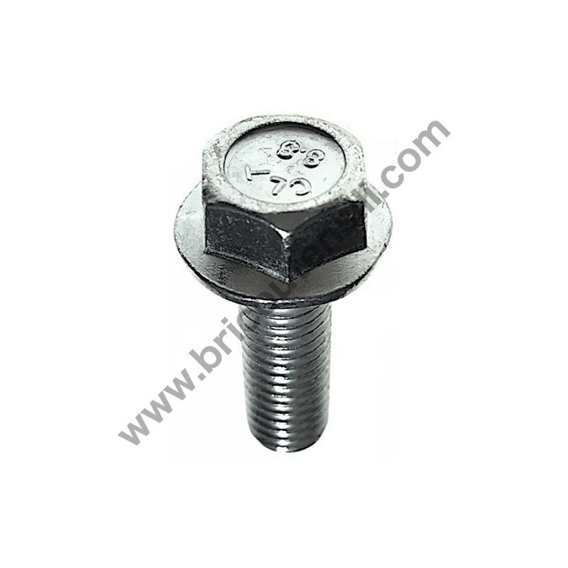 M8X25/8.8 Engine Bolt for Lawnmowers AMA